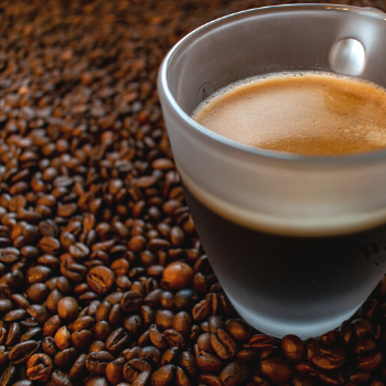100 capsule Caffè Agostani Best Gattopardo compatibile Nespresso